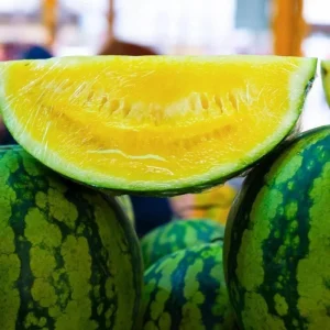 25 Yellow Watermelon Seeds – Rare Heirloom Fruit Seeds for Planting - Image 2
