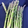 Asparagus Mary Washington Heirloom Perennial Vegetable Crowns - 20 Two-Year-Old Bare Roots - Image 1