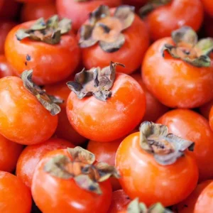 Common Persimmon Tree Live Plant – 6-12 Inch Tall Fruit Seedling in Quart Pot, Cold Hardy - Image 1