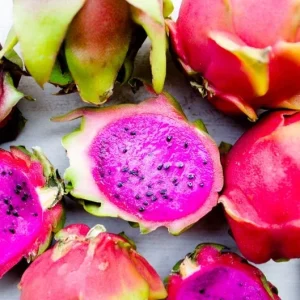 Dragonfruit 'Edgar's Baby' Live Starter Plant - Hylocereus Cactus - Image 4
