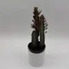 Euphorbia Red Trigona Live Plant - Vibrant Red Houseplant in 4" Pot - Image 1
