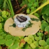 Fairy Garden Mossy Camp Fire Pit - Miniature Patio Dollhouse Accessory Decor - Image 1