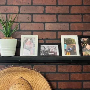 Fernwood Mikado Snake Plant - Live Houseplant - 4