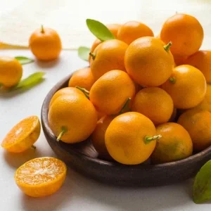 Live Calamansi Plant - Calamondin Citrus Tree - Indoor/Outdoor Fruit Plant - Image 2