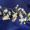 Oncidium Twinkle 'Fantasy' Miniature Orchid - Live Plant - 2.5" Pot - Image 1