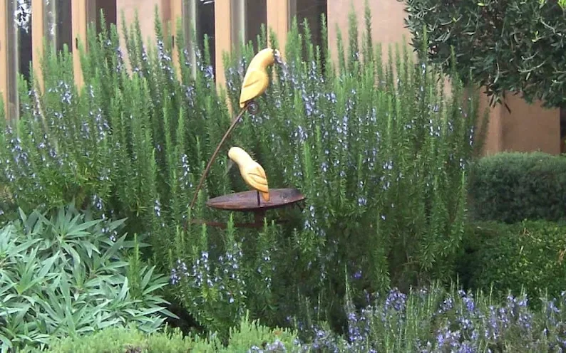 Organic Rosemary 'Tuscan Blue' Live Starter Plant – Culinary Herb – Outdoor - Image 1