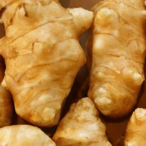 Organic Sunchoke Tubers - Jerusalem Artichoke for Planting - 1 Tuber - Image 4