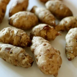 Organic Sunchoke Tubers - Jerusalem Artichoke - Set 3 Tubers - Image 4