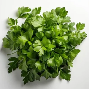 Parsley Live Plant - 3.5 Inch Pot, 5-7 Inch Height, Fresh Fragrant Herb - Image 5