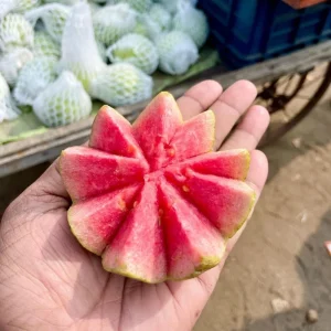 Pink Guava Tree Live Plant – Tropical Fruit Starter – 4-7 Inch – Outdoor - Image 5