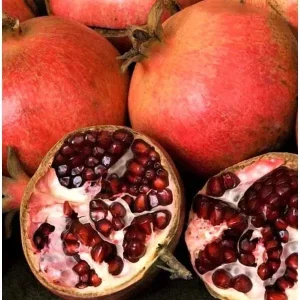 Pomegranate Tree Cuttings – 7 Live 6-inch Fruit Plant Cuttings – Punica Granatum - Image 1