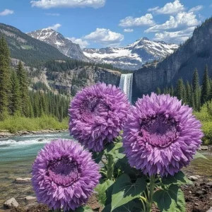 Purple Giant Teddy Bear Sunflower Seeds - 50 Seeds for Planting Outdoor Garden - Image 4