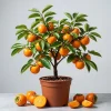 Set of 5 American Persimmon Bareroot Trees, Cold Hardy, 10-15 Inches Tall, Dormant - Image 1