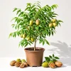 Set of 5 Pecan Bareroots for Planting - Live Hardy Nut Bearing Trees, 10-15 Inch Tall - Image 1