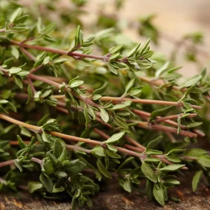 Thyme Live Herb Plant – 3.5 Inch Pot – 6-7 Inch Height – Drought Tolerant - Image 5
