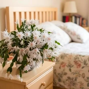 White Easter Cactus Live Plant 4-6 Inch – Spring Blooming Houseplant – Easy Care Indoor Plant - Image 4