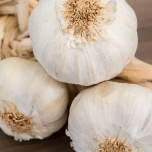 White Garlic Bulbs for Planting – 5 Count Allium Sativum Edible Culinary Herb - Image 3