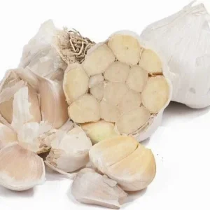 White Garlic Bulbs for Planting – 5 Count Allium Sativum Edible Culinary Herb - Image 4