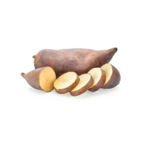 Yacon Root Live Plants - Ground Apple (Smallanthus Sonchifolius) - Set of 2, 4-6