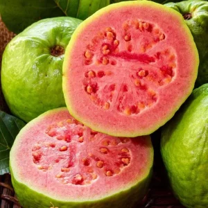 Red Guava Tree Live Plant - 10