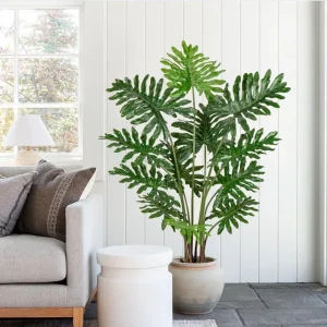 Set of 2 Tree Philodendron Live Plants - 5-8 Inch Tall, 4 Inch Pot, Indoor Tropical Foliage - Image 3