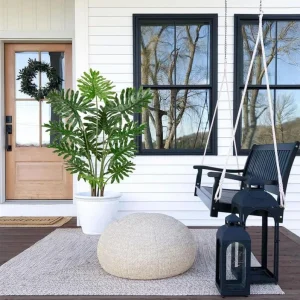 Set of 2 Tree Philodendron Live Plants - 5-8 Inch Tall, 4 Inch Pot, Indoor Tropical Foliage - Image 7