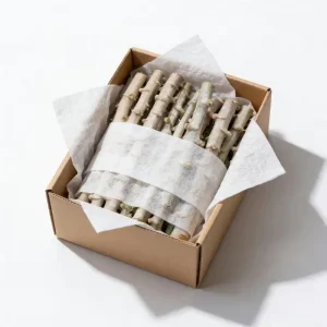 Organic Cassava Cuttings Live Plant - Yuca Root Crop - Pesticide-Free - 5-8 Inch - Image 7