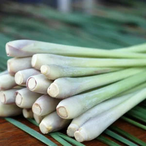 7 Live Lemongrass Starter Plants - Rooted Herb, 4-6 Inches Tall, Outdoor - Image 6