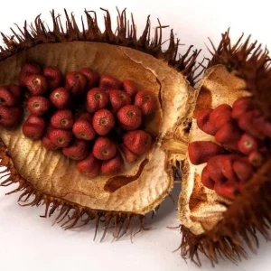 Achiote Seeds – 1 Lb Bixa orellana – Natural Food Coloring & Spice - Image 1
