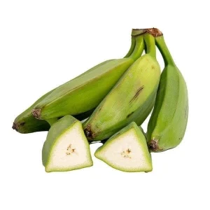 Burro Plantain Live Plant (Musa Paradisiaca) - 10-18in Banana Tree Seedling - Image 6
