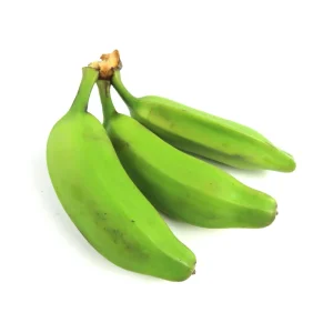 Burro Plantain Live Plant (Musa Paradisiaca) - 10-18in Banana Tree Seedling - Image 7