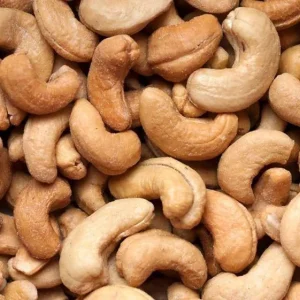 Cashew Tree Live Plant - Marañón Sapling for Home Gardens, Tropical Fruit Tree - Image 2