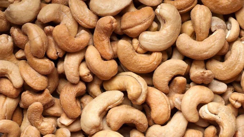 Cashew Tree Live Plant - Marañón Sapling for Home Gardens, Tropical Fruit Tree - Image 2
