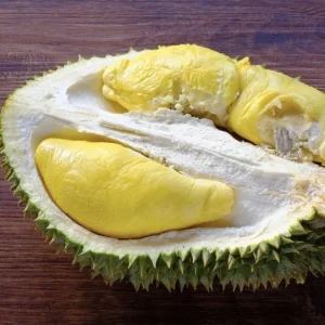 Durian Live Fruit Tree (Durio zibethinus) - 10-12 inches Tall Plant - Image 3