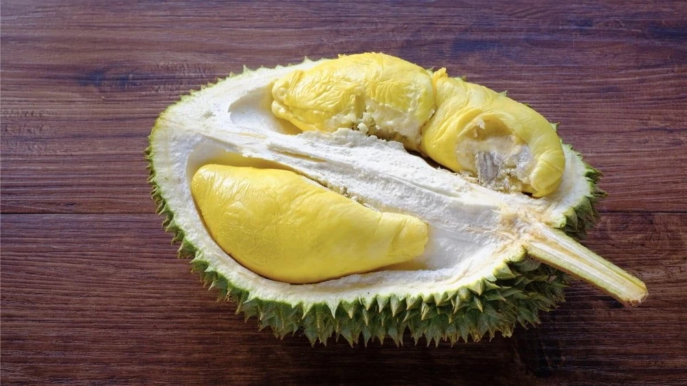 Durian Live Fruit Tree (Durio zibethinus) - 10-12 inches Tall Plant - Image 3