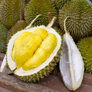 Durian Live Fruit Tree (Durio zibethinus) - 10-12 inches Tall Plant - Image 4