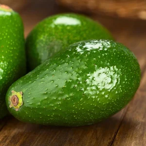 Fuerte Avocado Live Fruit Tree, Grafted Persea Americana Plant, 30-48 inches Tall - Image 6