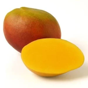 Grafted Alphonso Mango Live Fruit Tree - 3-4 ft Tall - Outdoor Plant - Image 6