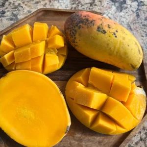 Grafted Alphonso Mango Live Fruit Tree - 3-4 ft Tall - Outdoor Plant - Image 1