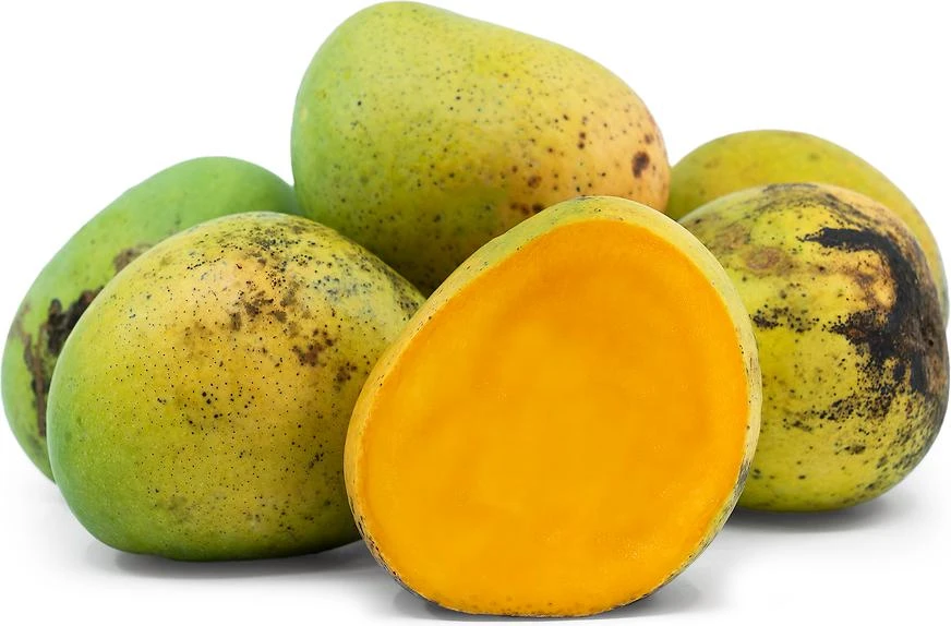 Grafted Alphonso Mango Tree - Live Fruit Plant - Tropical Edible Fruit Tree - Image 5
