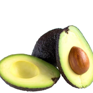 Grafted Criollo Avocado Tree Live Plant (1-2ft) - Persea Americana Fruit - Image 3