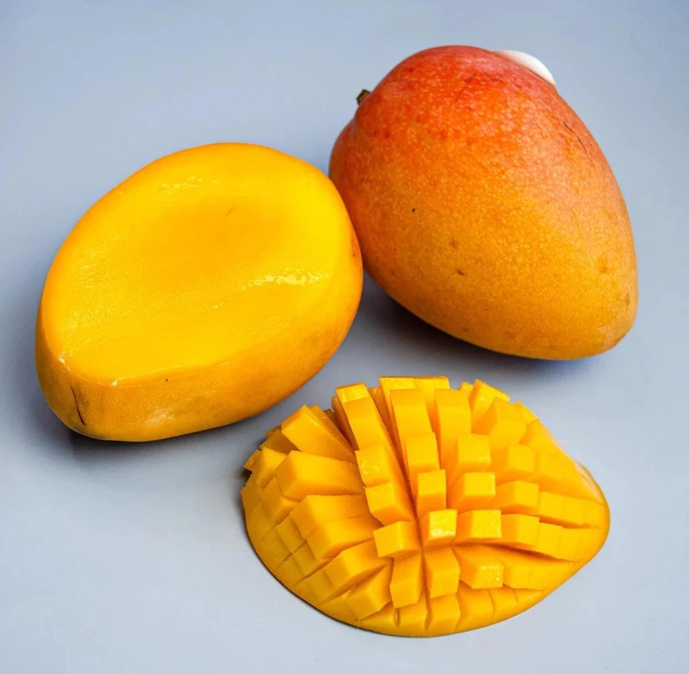 Grafted Edward Mango Tree Live Plant - Sweet Tropical Fruit (2ft Tall) - Image 5