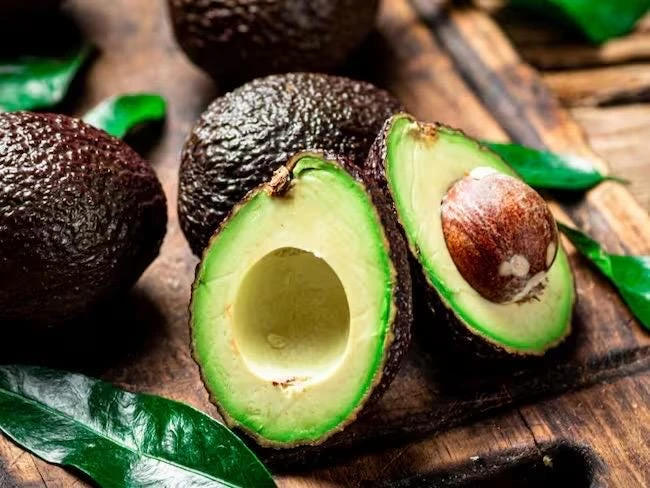 Grafted Gwen Avocado Tree Live Plant - 2-3 ft Tall, Creamy Fruit - Image 2