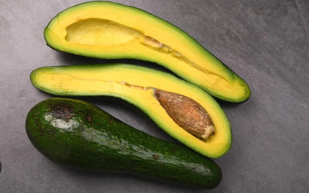 Grafted Long Neck Avocado Tree – Live Fruit Plant – 1-2ft Tall – Outdoor - Image 3
