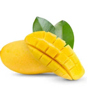 Grafted Manila Mango Tree Live Plant – Sweet Fiberless Fruit (3-4ft) - Image 2