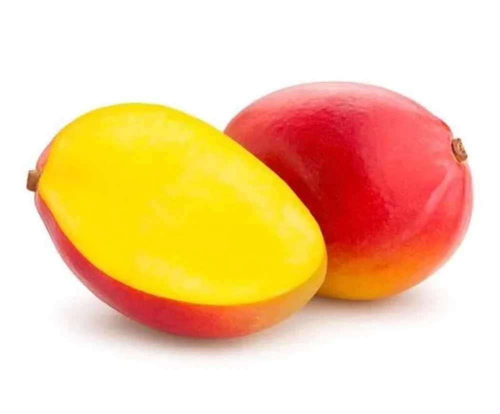 Grafted Palmer Mango Tree Live Plant - Sweet Flavor, Early Fruiting, 2-3ft Tall - Image 4