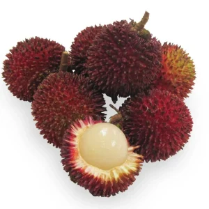Grafted Pulasan Live Fruit Tree 26-36 inch - Tropical Sweet Fruit Plant - Image 5