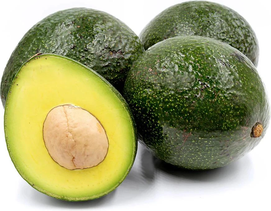 Grafted Reed Avocado Live Fruit Tree (1-2ft) - Outdoor Plant - Image 2