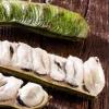 Guama Ice Cream Bean Tree - Live Plant - 1-2 ft Tall - Tropical Fruit - Image 1