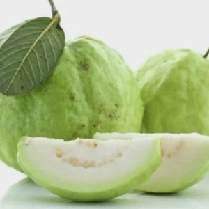 Guava White Pear Live Tree (3-4ft) - Tropical Fruit Plant - Image 4